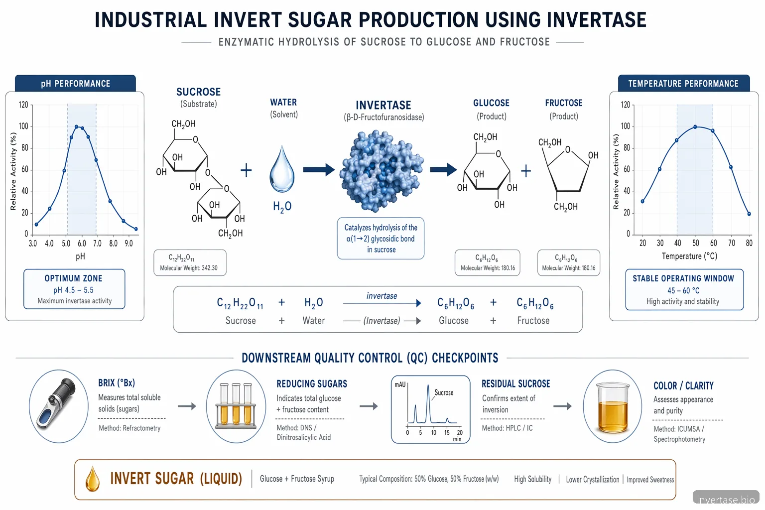 مخطط عملية invertase لإنتاج السكر المعكوس يوضح تحلل السكروز ونطاقات pH ودرجة الحرارة ونقاط فحص الجودة