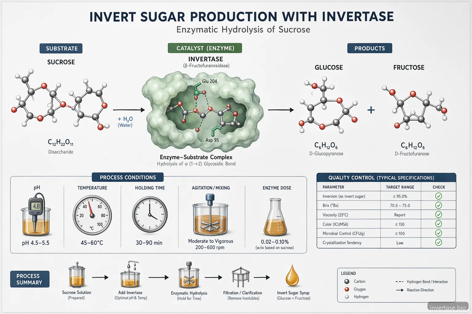 diagram proses what is invert sugar yang menunjukkan invertase mengubah sukrosa menjadi glukosa dan fruktosa di bawah kontrol pH dan panas