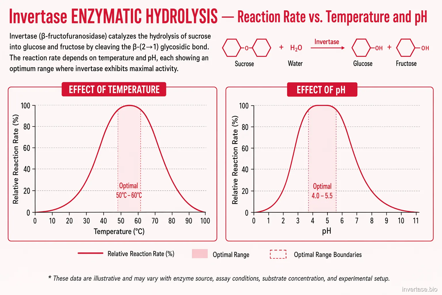 Invertase (Beta-Fructofuranosidase) reaction rate vs temperature and pH — bell curves with optimal zones shaded